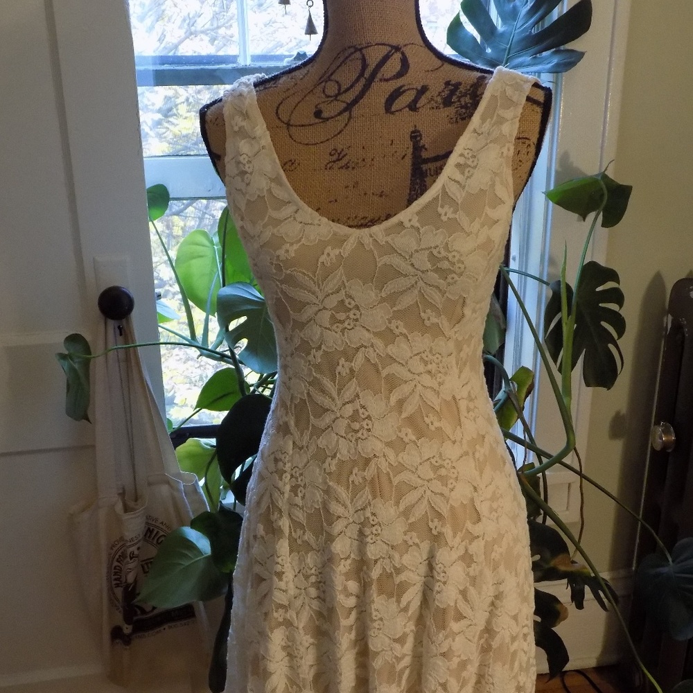 Lush Lace Fit and Flare Dress